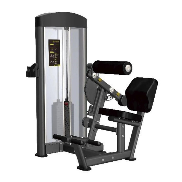 アブドミナル/バックエクステンション