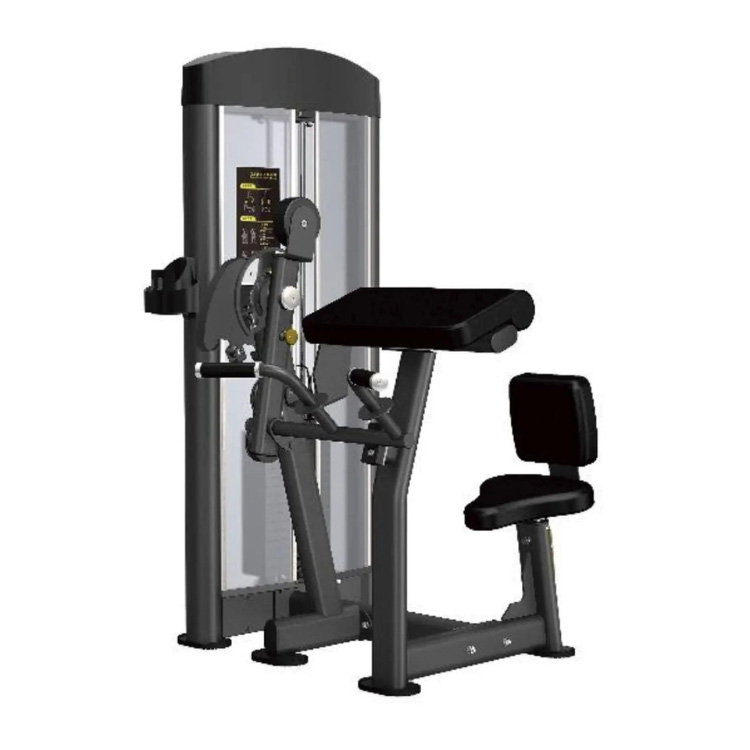 バイセプスカール/トライセプスエクステンション