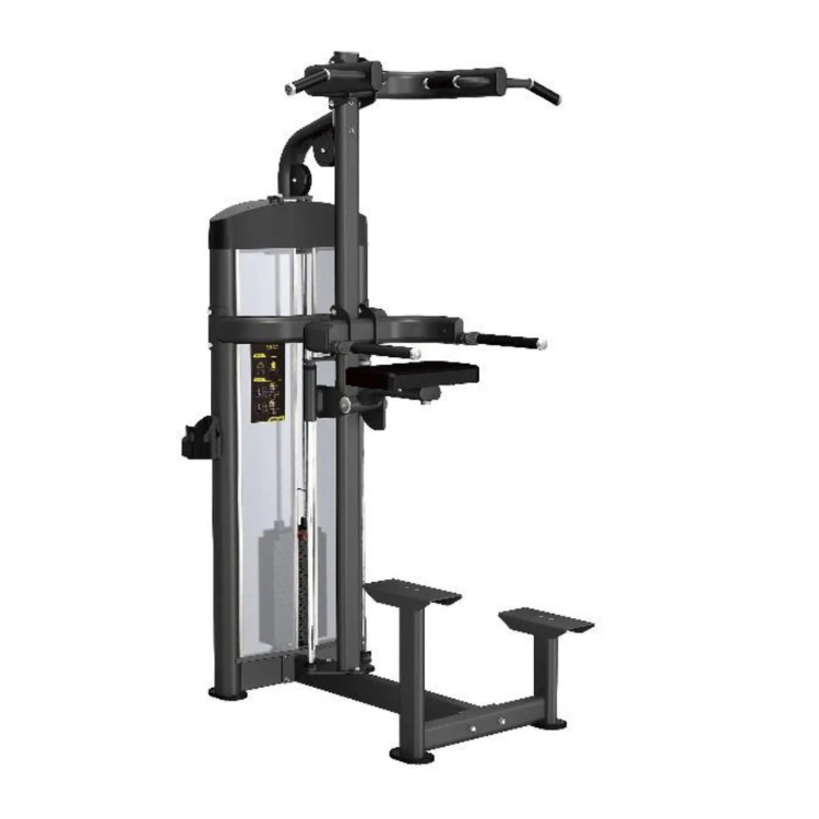 ディップ/チンアシスト